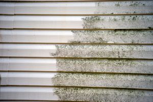 What You Need to Know About Siding Cleaning