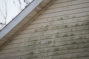 Why Exterior House Cleaning is a Key Part of Home Maintenance