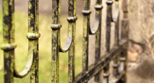 3 Fence Cleaning Steps to Achieve a Fresh Outdoor Look
