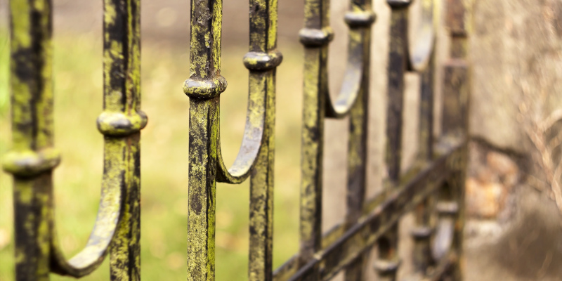 3 Fence Cleaning Steps to Achieve a Fresh Outdoor Look