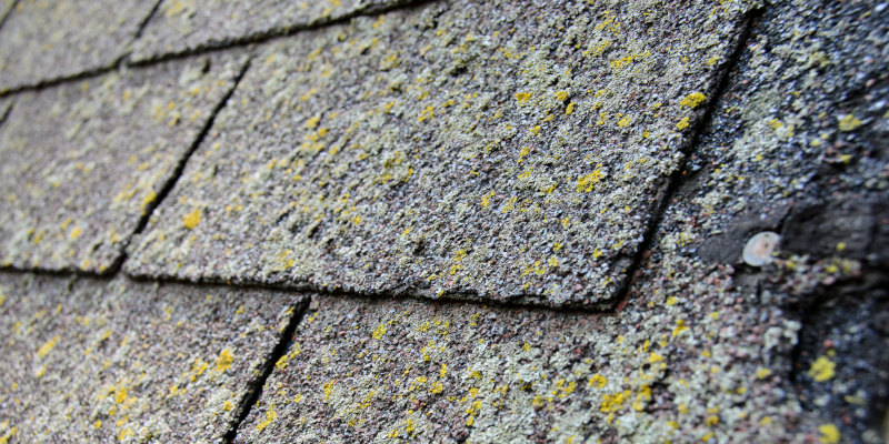 3 Important Things to Know about Roof Cleaning