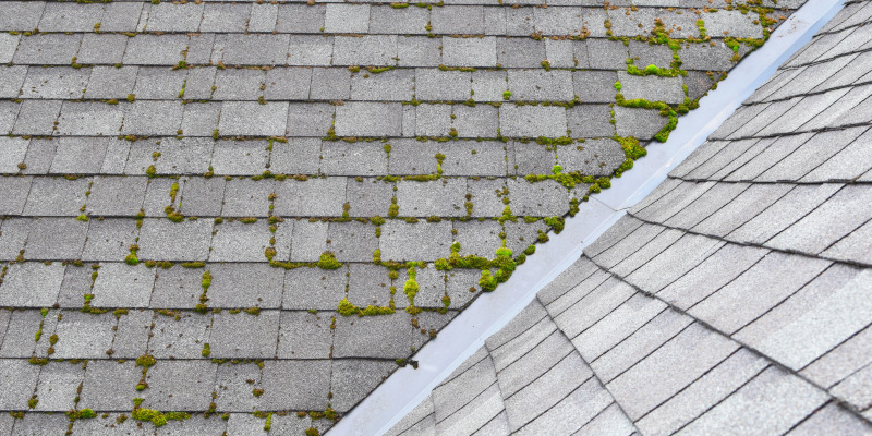 4 Reasons Why Soft Washing is the Go-To Choice for Roof Cleaning